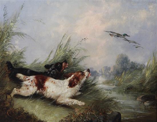 George Armfield (fl.1840-1875) Spaniels flushing ducks and Terriers beside a rabbit hole 8 x 10in.